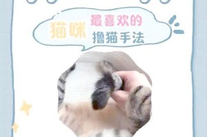 猫的器官与其功能（解析猫的五官和其他关键器官）