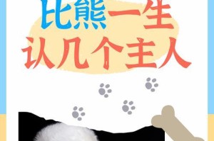 养比熊犬的注意事项（如何做好比熊犬的养护工作）