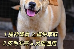 狗狗细小存活期限的关键因素（探究影响狗狗细小生存时间的关键因素和应对方法）