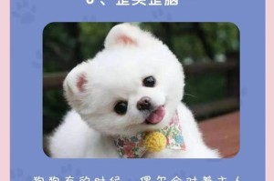 揭秘狗狗颤抖背后的四个原因（狗狗的颤抖信号及解读）