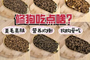 五个月金毛犬的饮食指南（为您解答金毛宝宝的饮食问题，让TA健康成长！）