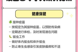 如何为斗牛犬的生产做好准备？（从准备空间到繁育计划，一切尽在掌握！）