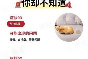 宠物猫的常见疾病及预防措施（了解宠物猫的主要疾病及保持健康的秘诀）