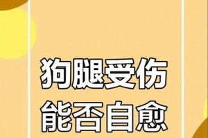 狗狗腿扭了多久能恢复？（了解狗狗腿部扭伤的康复时间）
