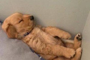 享受舒适的睡眠