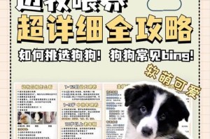 养狗必备物品与避坑指南（为你的新家庭成员准备好一切，让养狗之旅更加顺利）