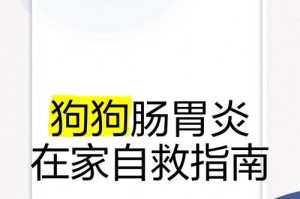 狗肠子煮多久合适？探讨最佳烹饪时间（狗肠子煮熟需要仔细掌握，否则口感不佳）