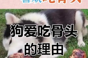 狗狗为什么爱吃骨头？（探究狗狗对骨头的偏好和原因）