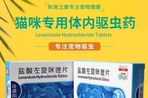 小猫猫的用药指南（了解小猫猫合适的药物治疗与用药常识）
