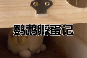 玄凤孵化期的温度和湿度要求（人工孵化玄凤蛋技术介绍）