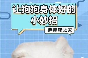 幼犬喂养的奶粉选择与方法（为你的小狗提供最佳的奶粉营养）