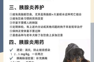 狗的胰腺炎复发症状及预防方法（详解胰腺炎复发症状，提供有效预防方法）