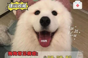 狗狗的最佳相隔时间（找到合适的时间间隔，让你的狗狗更健康快乐）