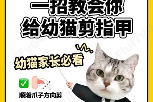 轻松剪指甲，让猫咪更舒适（猫咪美容必备，教你正确剪指甲）