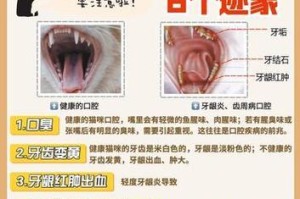 如何给猫咪刷牙？轻松掌握5个步骤（让你的猫咪拥有健康口腔，告别口臭问题）