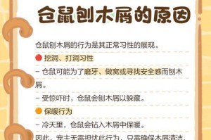 如何正确养护仓鼠？（仓鼠养护指南及注意事项）