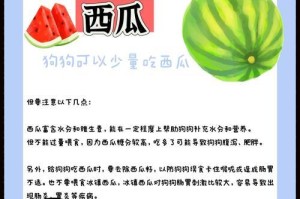 给狗狗吃的安全水果种类（探索适合狗狗的健康水果，促进其营养均衡）