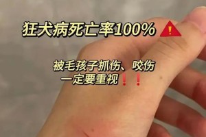 狗感染狂犬病后的发展过程（了解狗感染狂犬病的时间长度和关键信息）