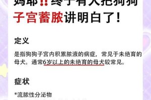 了解狗子宫疾病（狗子宫疾病的常见症状及其意义）