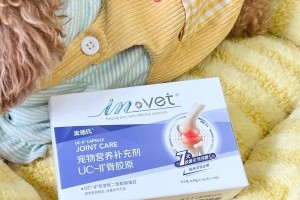 养狗必备药品，宠物健康的关键（养狗人家必备的常用药品及其作用与使用方法）