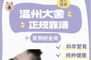 以新手养狗开销太大？资深捡屎官教你用平替宝藏（如何减少养狗开销，让你的宠物生活更经济实惠）