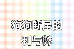 以比熊犬断尾的必要性及最佳时机（了解比熊犬断尾的理由和合适的时机，让它们更健康快乐）