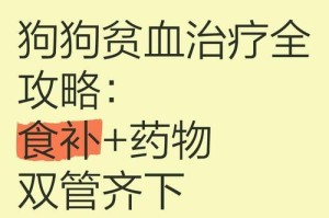 狗狗贫血的原因及处理方法（揭秘狗狗贫血的危害与预防）