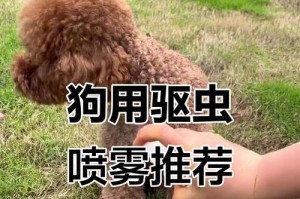 狗狗跳蚤问题解决方法（家庭中常见的解决狗狗跳蚤的偏方）