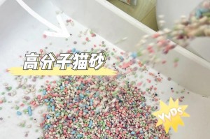 猫砂更换频率与注意事项（合理把握换砂时间提供舒适生活环境）