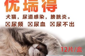 了解猫尿路病的症状及治疗方法（猫尿路病的常见症状及应对措施）