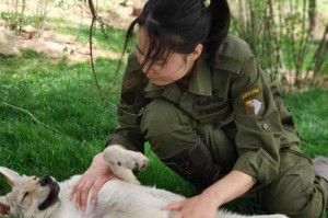 辽宁犬舍（了解辽宁犬舍的独特特点和饲养标准）