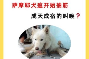 犬温后遗症（探索犬温后遗症的症状、治疗和预防）