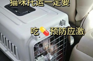 小猫的托运手续及办理方法（了解小猫托运的规定和流程，助您顺利安排行程）