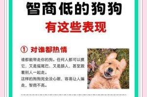 狗的智商与其同人性关系的探讨（狗的智商是否影响其与人类的亲密关系）