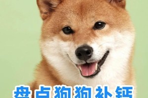 狗狗的钙片选择指南（为你的宠物犬提供最佳的营养补充品）