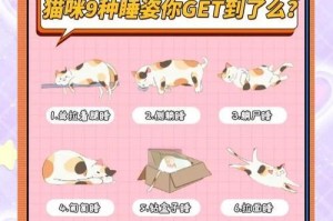 小猫的睡眠时间有多长？（揭秘小猫每次睡眠时长的神秘规律）