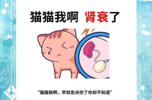 猫咪肾脏疾病的成因与预防措施（为什么猫咪容易患上肾脏疾病？如何预防和管理？）