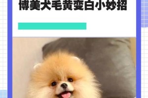 博美毛剃光后需要多久长出来？（探究博美犬毛剃光后毛发生长周期及促进生长的方法）