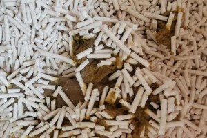 揭开猫咪粪检的奥秘（了解猫咪健康的关键——从粪便说起）