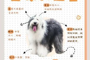 如何正确干洗以古牧幼犬——打造健康亮丽的毛发（掌握合适频率，让以古牧宝宝的毛发呈现最佳状态）