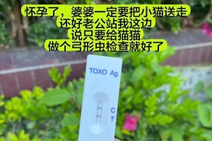 以弓形虫检查结果需要多长时间？（了解弓形虫检查结果所需时间及相关因素）