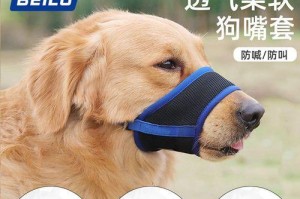 宠物狗的必备用品（帮助你为宠物狗打造一个舒适的家）