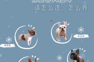 揭秘法斗犬的高昂价格（为什么法斗犬的价格如此昂贵？法斗犬价格解析）