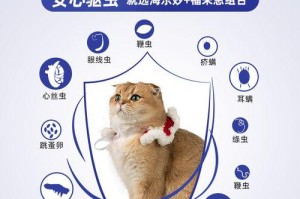 宠物猫驱虫方法与费用（正确驱除猫咪身上的寄生虫，保护健康生活）