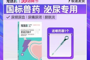 泌尿系统感染的治疗药物选择（药物治疗方式及关键因素分析）