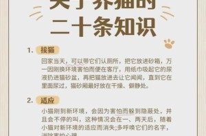 养育两个月大的猫的注意事项（让你的小猫健康快乐成长，）