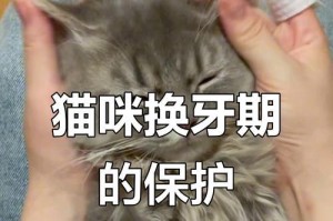 猫没有牙齿，它们还能活多久吗？（了解猫咪缺牙的生活及适当护理的重要性）