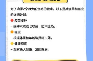金毛犬疫苗接种时间表及注意事项（金毛犬疫苗接种周期与保护措施解析）