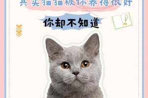 养猫咪，你需要知道的禁区！（宠物猫咪养护指南，让爱无障碍。）