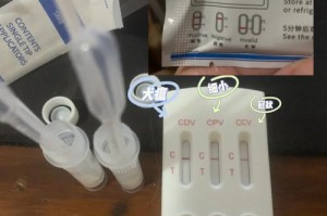 犬瘟粪便病菌传播时间的研究（探索犬瘟粪便中病菌存活的时间及传播途径）